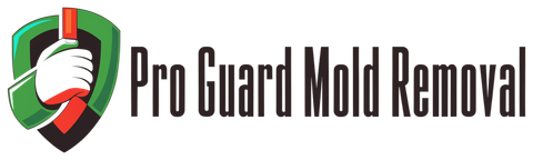 Pro Guard Mold Removal